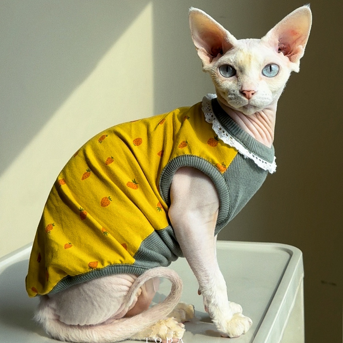 Yellow Summer Clothing - Одежда для кошек: летний жилет без
